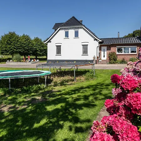 Kiebitznest